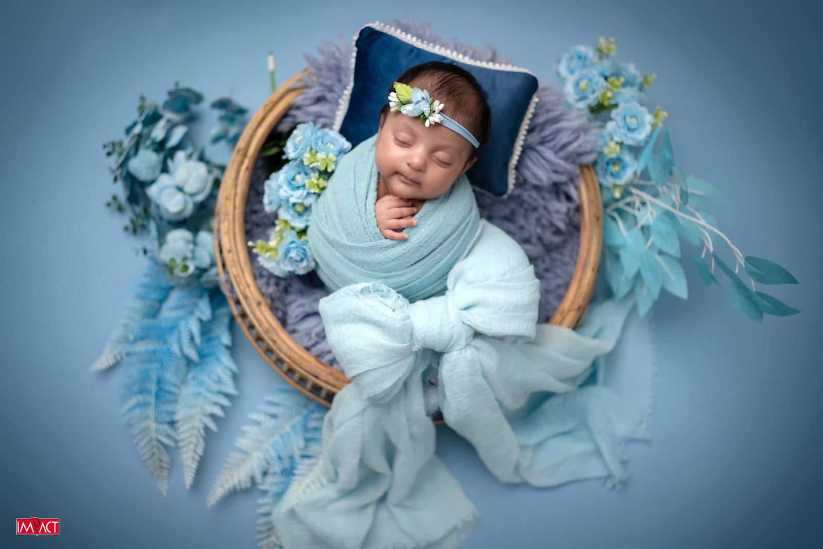 Newborn photography, Impact Photo Studio