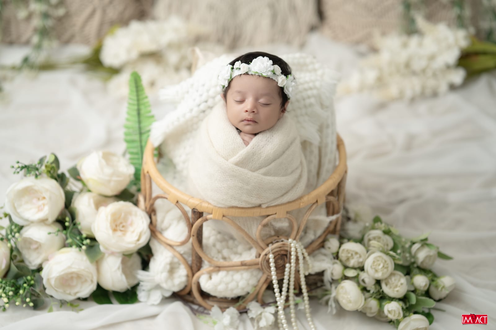Newborn photography, Impact Photo Studio