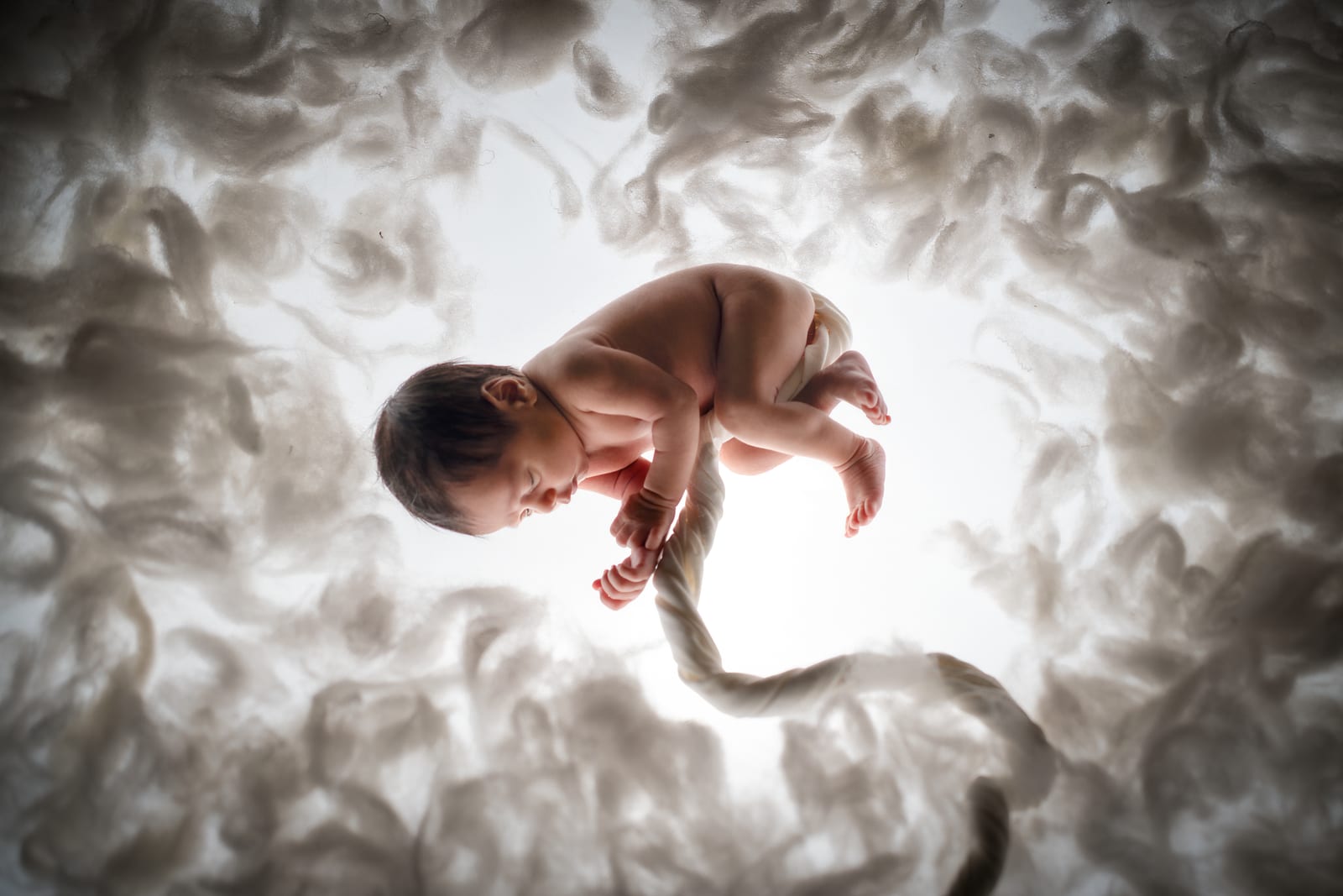 Newborn photography, Impact Photo Studio