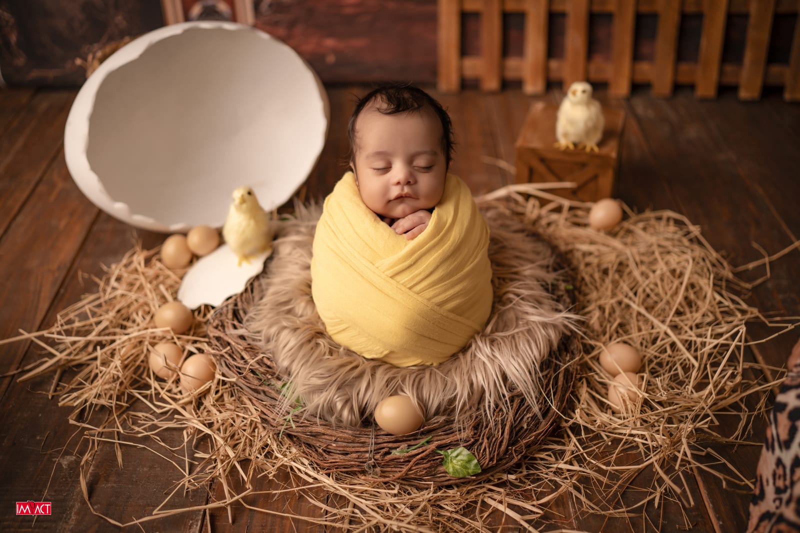 Newborn photography, Impact Photo Studio