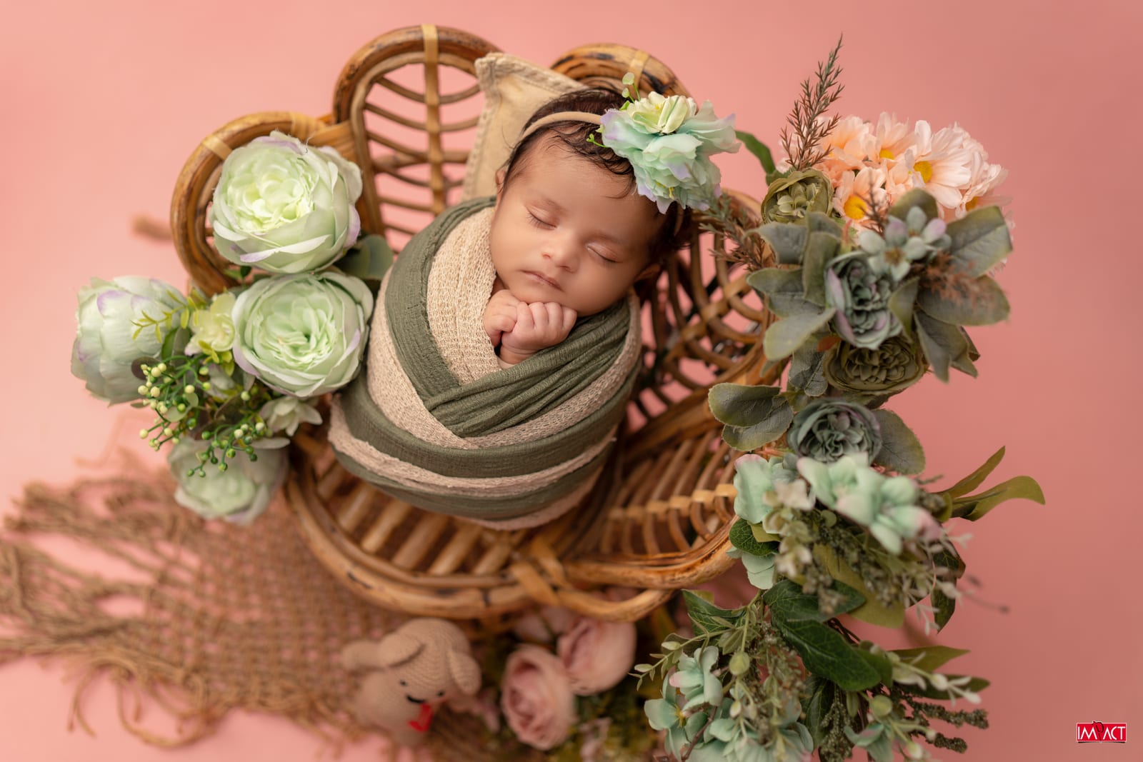 Newborn photography, Impact Photo Studio