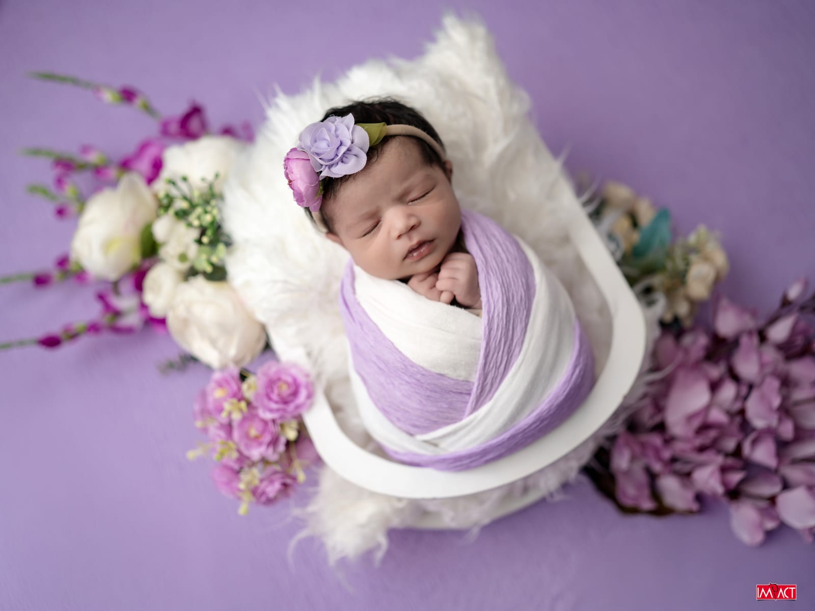 Newborn photography, Impact Photo Studio