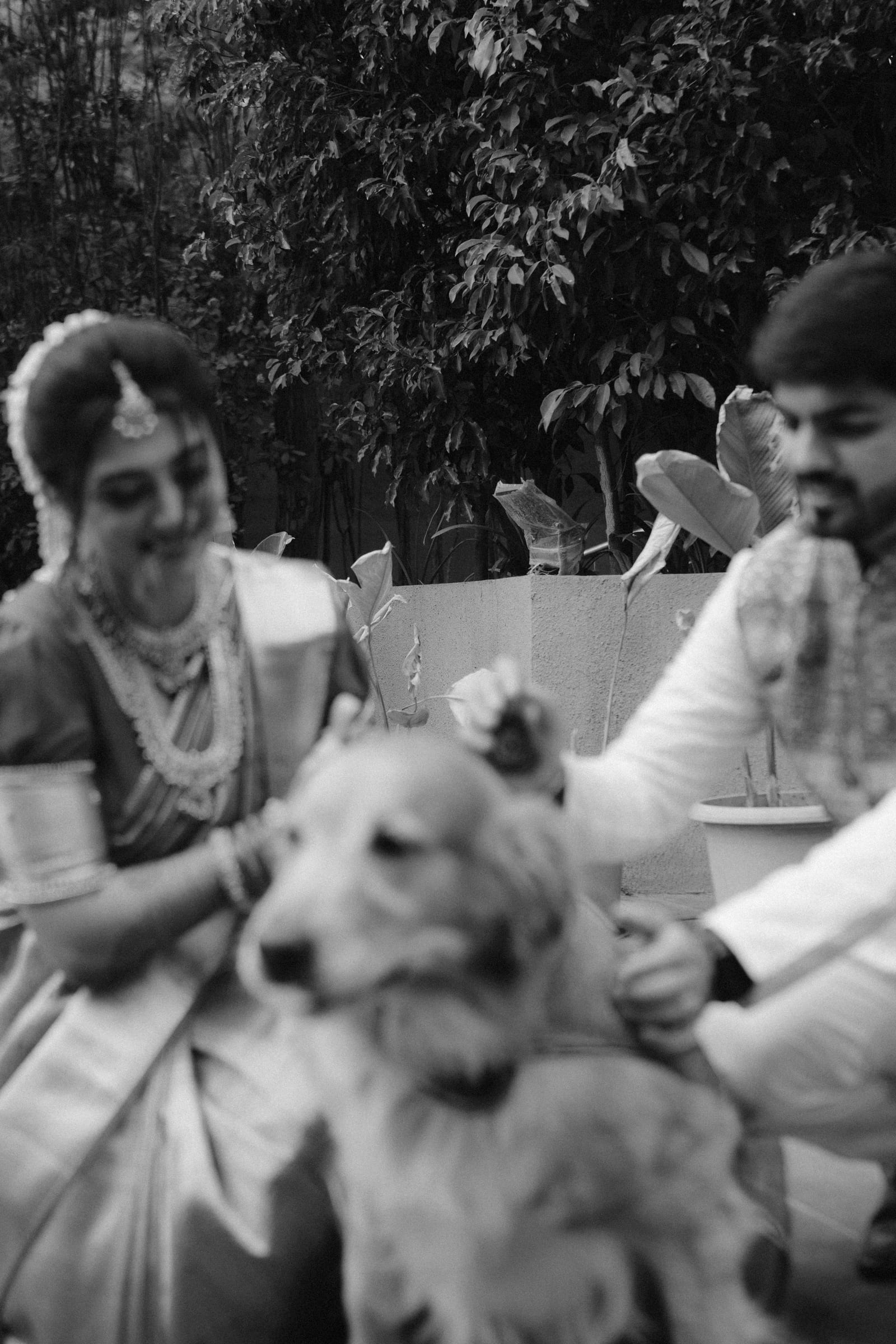 Shreya & Sanket, photographed by Impact Photo Studio